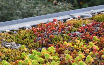 the cost of Woburn Sands green roof installation