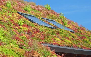 Woburn Sands living roof systems